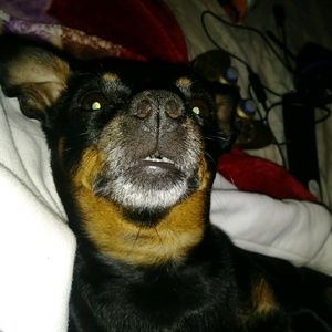 Meet your Posher, Chris